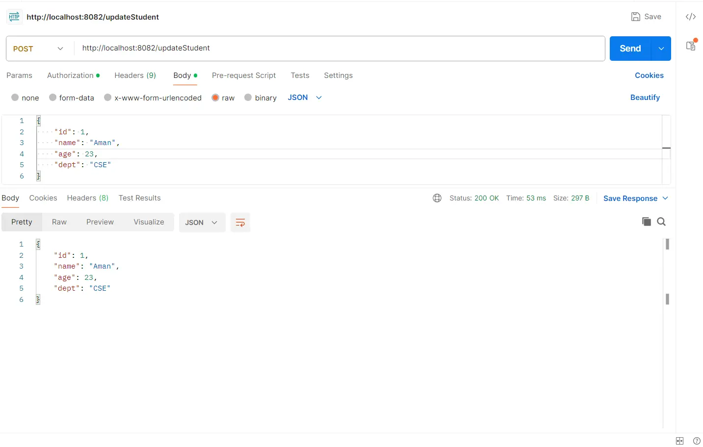 update api testing